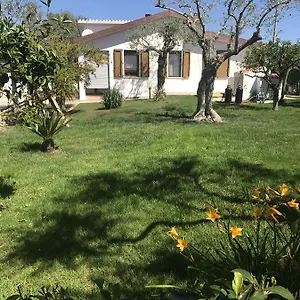  Bed & Breakfast Trifoglio Bancali Italia